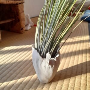 Soporte cerámico para tillandsia